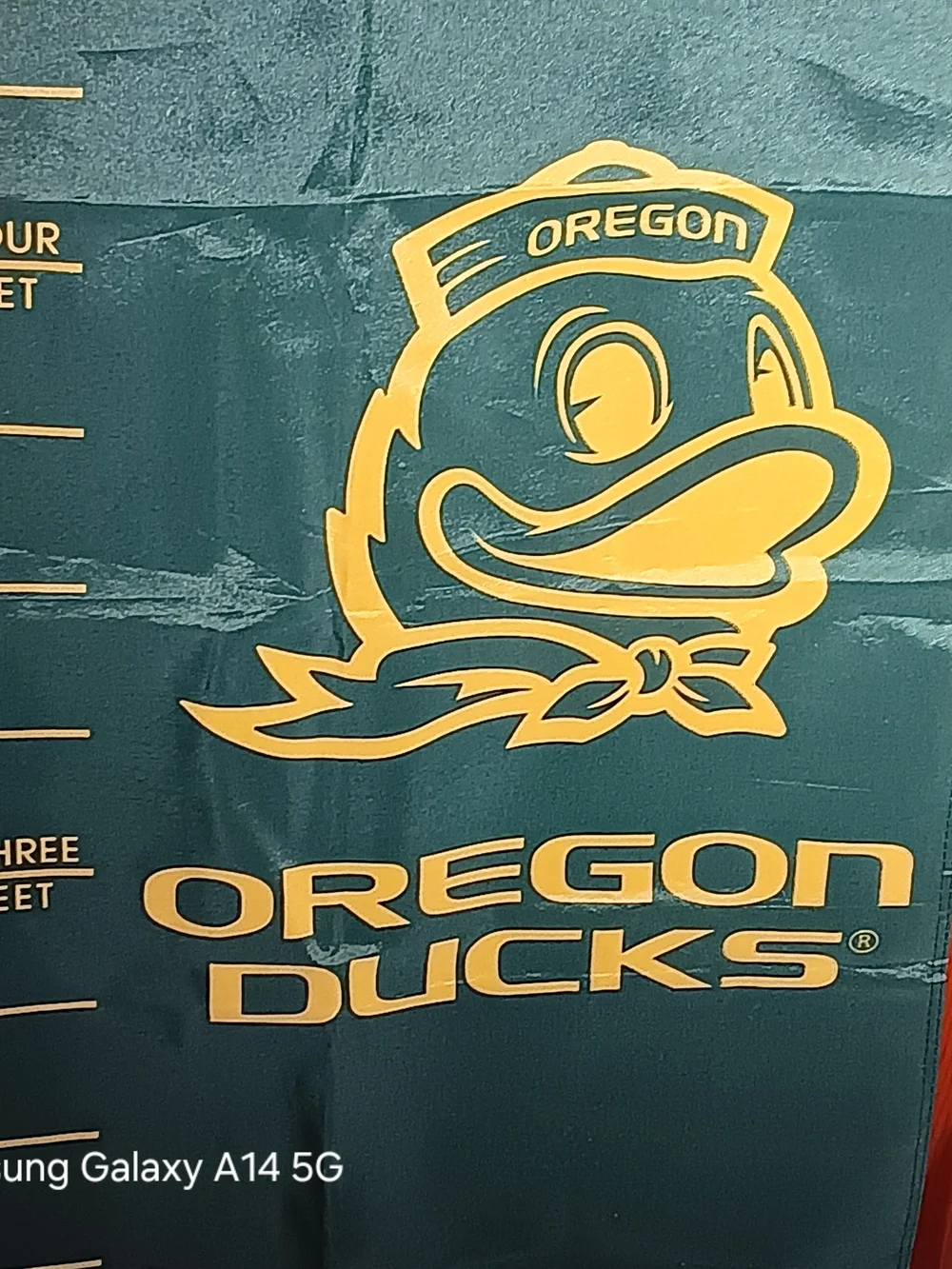 Oregon Ducks Green & Yellow Growth Chart Banner